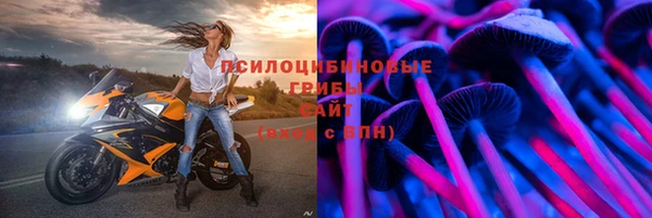 ПСИЛОЦИБИНОВЫЕ ГРИБЫ Аркадак