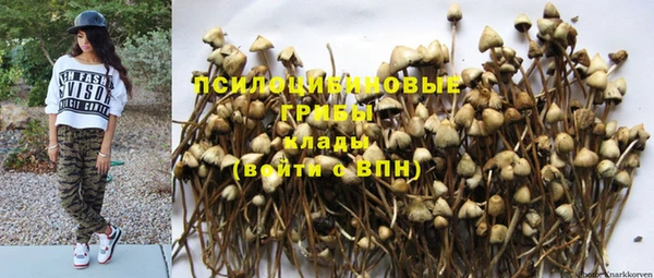 spice Арсеньев