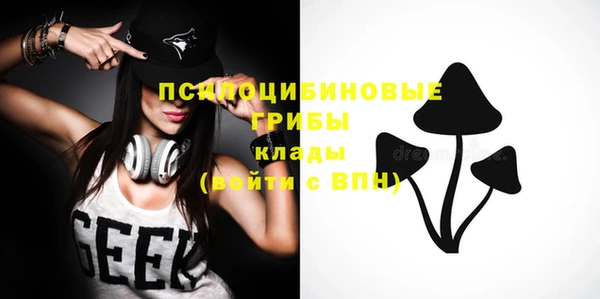 spice Арсеньев