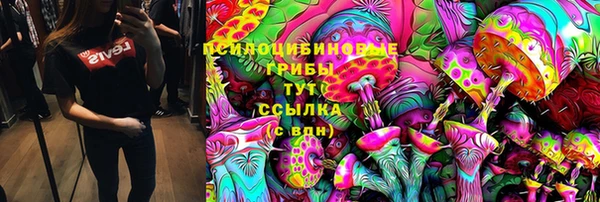 ПСИЛОЦИБИНОВЫЕ ГРИБЫ Аркадак