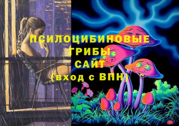 spice Арсеньев