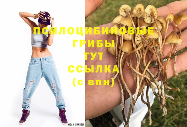 spice Арсеньев
