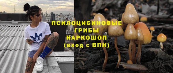 spice Арсеньев