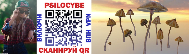 Галлюциногенные грибы Cubensis  Волгоград 